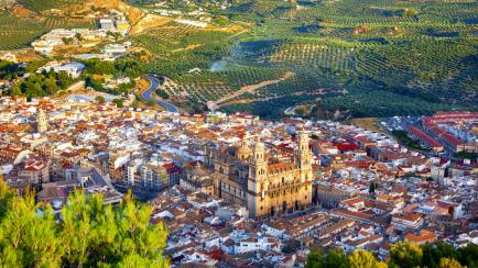 Vista aérea de Jaén entre olivos.