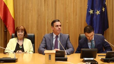MADRID, SPAIN - JUNE 01: (L-R) The President of the PSOE, Cristina Narbona; the President of the Government, Pedro Sanchez and the PSOE spokesperson in Congress, Hector Gomez, during a meeting with the deputies and senators of the PSOE, in the C...
