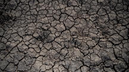 This photograph shows a detail of the cracked ground at the Donana Natural Park in Ayamonte, Huelva, on May 19, 2022. - The huge Donana National Park, home to one of Europe's largest wetlands, is threatened by intensive farming. Water supplies t...