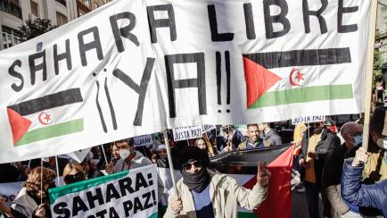 MADRID, SPAIN - NOVEMBER 13: A group of people participate with banners and flags in a demonstration against the violation of rights in Western Sahara, on 13 November, 2021 in Madrid, Spain. Convened by the Coordination of Associations in solida...
