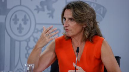 La ministra para la Transición Ecológica y el Reto Demográfico, Teresa Ribera, durante la rueda de prensa posterior al Consejo de Ministros.