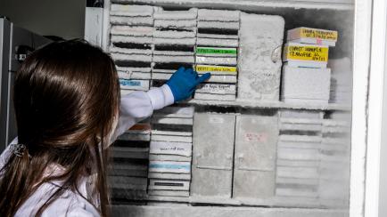 Una investigadora señala las muestras de ARN dentro de un congelador a ultrabaja temperatura en un laboratorio de San Francisco (California, EEUU), en mayo de 2021.