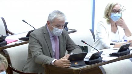 El diputado Juan Antonio Callejas Cano, del PP, interviene en el Congreso.