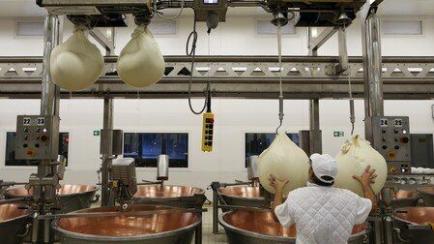 Imagen de archivo. Fabricantes de queso preparan cuajada para queso parmesano en la cooperativa láctea Madonne Caseificio dell'Emilia 4 en Módena