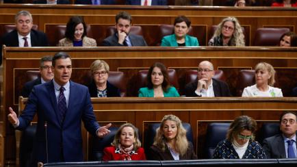 El presidente del Gobierno, Pedro Sánchez, interviene durante la sesión de control celebrada, este miércoles, en el Congreso de los Diputados.