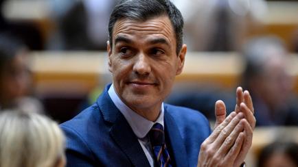 Pedro Sánchez, este miércoles, en el pleno del Senado. 