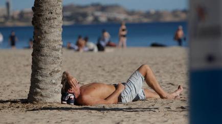Una persona toma el sol bajo una palmera en la playa de El Postiguet de Alicante