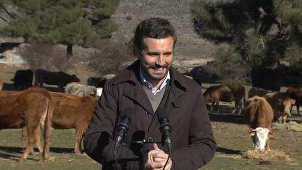 Pablo Casado, durante su comparecencia en una explotación de ganadería extensiva.
