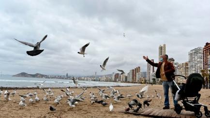Un hombre alimenta a las palomas en la playa de Benidorm