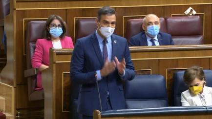 Pedro Sánchez en el Congreso.