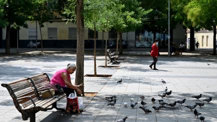 A woman feeds pigeons in the neighbourhood of Vallecas in Madrid on September 17, 2020. - The local government of Madrid, the region of Spain hit hardest by the pandemic, backtracked on its plans to introduce targeted lockdowns in areas with hig...