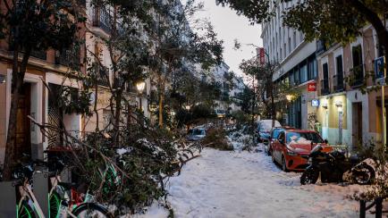 Una calle de Madrid con árboles caídos por la nieve de la tormenta Filomena.