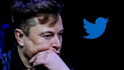 Elon Musk. 