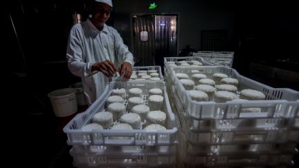 Fábrica de quesos en Colmenar Viejo, Madrid, en agosto de 2022. 
