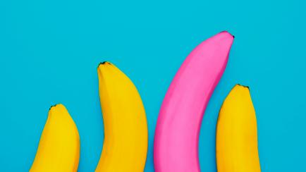 Distintos tipos de plátanos.