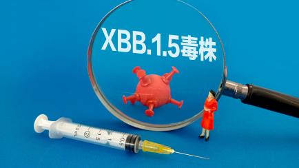 La XBB.1.5, bajo la lupa