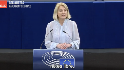 Evelyn Regner, vicepresidenta del Parlamento Europeo