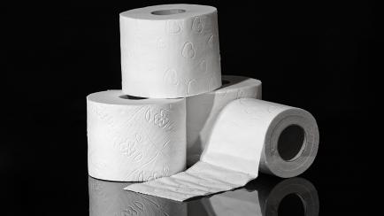 Varios rollos de papel higiénico