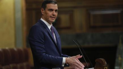 MADRID, 24/01/2023.- El presidente del Gobierno, Pedro Sánchez, interviene durante la sesión plenaria de este martes en el Congreso de los Diputados en Madrid. EFE/ Juan Carlos Hidalgo