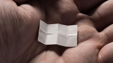 Una persona sujeta un papel en su mano.