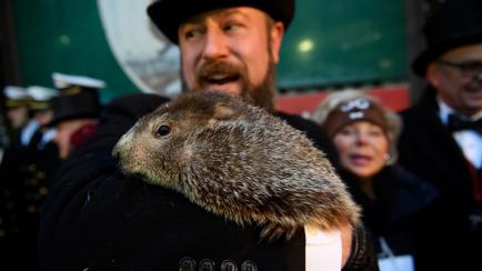 Imagen de archivo de Phil, la marmota que marca el final del invierno en Estados Unidos.