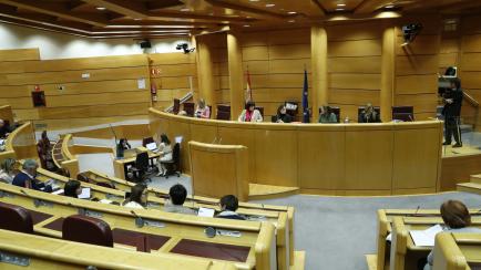 Reunión de la comisión de Igualdad del Senado en Madrid este miércoles.