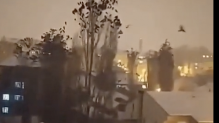 Captura del vídeo de los pájaros antes del terremoto.
