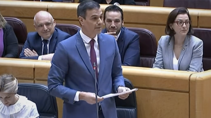 Pedro Sánchez (PSOE) en el Senado