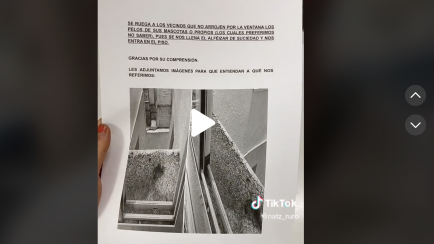TIKTOK DE NATZ
