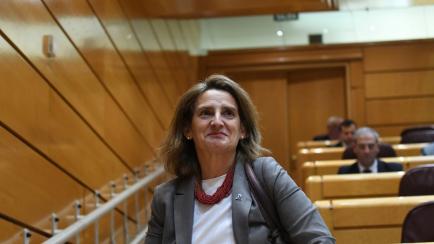 La vicepresidenta y ministra para la Transición Ecológica y el Reto Demográfico, Teresa Ribera, el pasado día 7, durante la Sesión de Control en el Senado.