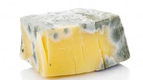 Los únicos tipos de quesos que debes tirar inmediatamente si tienen moho