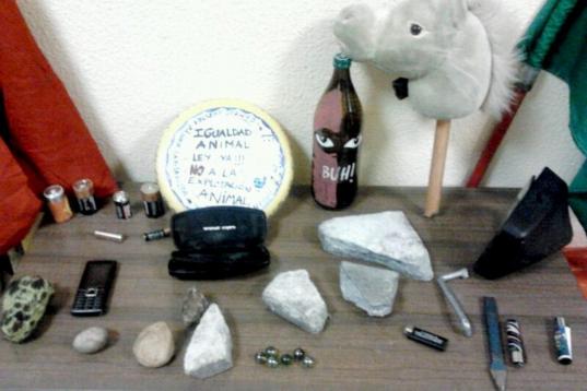 Los objetos intervenidos por la Policía Nacional en la manifestación de ayer