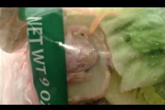 Menos mal que Dwanita Pitman de Florida no abrió esta bolsa de ensalada cuando se encontró una rana viva el pasado 28 de octubre. 