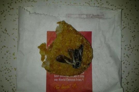 Mayo de 2012. Una cucaracha aplastada aparece entre las patatas del McDonald's.
