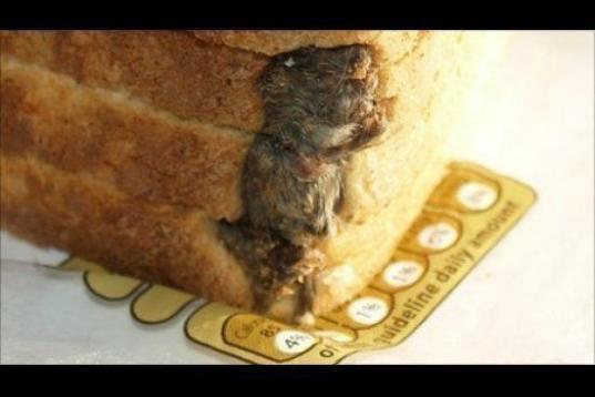 Un hombre de Bath (Reino Unido), se encontró esta terrible imagen entre las rebanadas de pan de molde. 