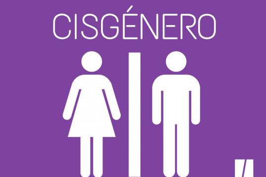 Término que se utiliza para describir a aquellas personas cuya identidad de género y su género asignado al nacer coinciden. Es decir, una persona transexual no es cisgénero.