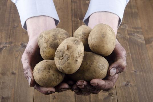 Patatas: Proceden de España desde abril-mayo y hasta octubre-noviembre. El resto del año las importan.
