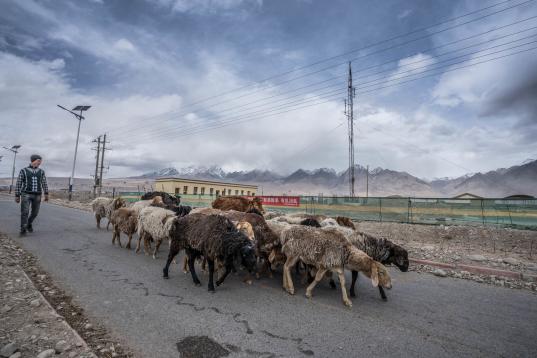 Un pastor uigur, caminando por Tashkurgan