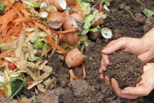 Puedes acumular los restos orgánicos, como cáscaras de frutas y verduras, y hacer tu propio compost. Así podrás utilizarlo como abono y aprovechar para crear tu propio huerto o jardín. 