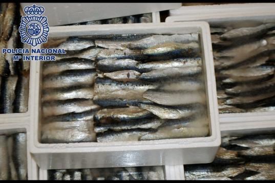 Hachís en sardinas congeladas