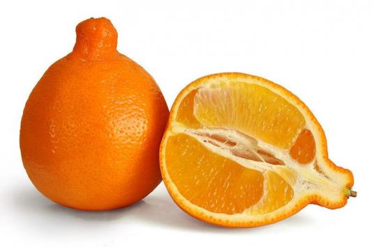 Este cítrico híbrido se llama Tangelo y es un cruce entre un citrus paradisi (el pomelo) y una mandarina o citrus reticulata. De apariencia más o menos deforme, su tamaño está a medio camino entre la naranja y el pomelo. La rugosidad de la ...