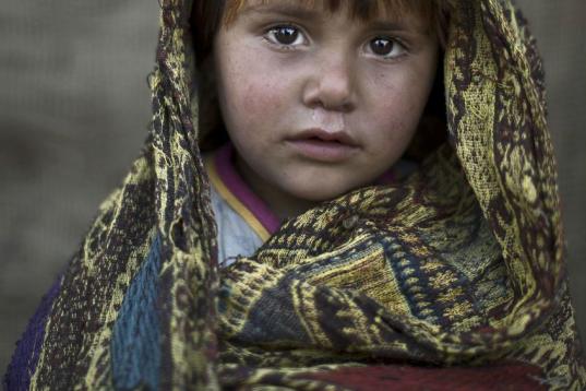 Refugiados afganos.