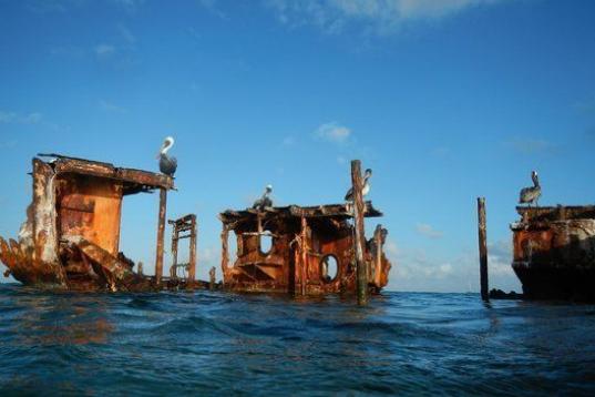 Cerca de las costas del norte de Aruba hay un barco oxidado y viejo que el paso del tiempo ha transformado en un atractivo turístico, sobre todo para los amantes del esnórquel. Eso sí, hay que andarse con ojo ya que el oleaje puede ser fuerte...