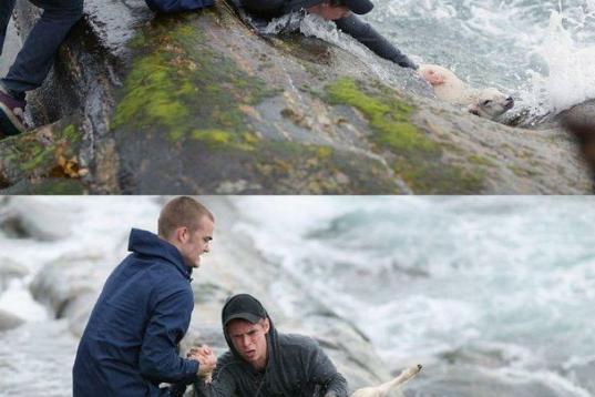 Otro acto de generosidad que ha sido viral este año es el de dos chavales rescatando un cordero del mar.