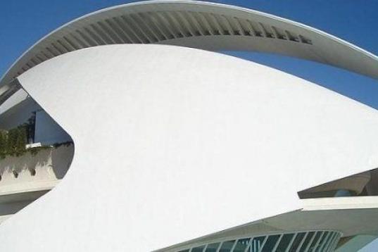 Obra de Santiago Calatrava y con un coste de más de 400 millones de euros, es uno de los emblemas de la Ciudad de las Artes y de las Ciencias. La capa exterior del edificio está desconchada.
