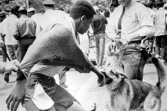 La policía ataca con perros a manifestantes negros durante una protesta en Alabama en 1963.
