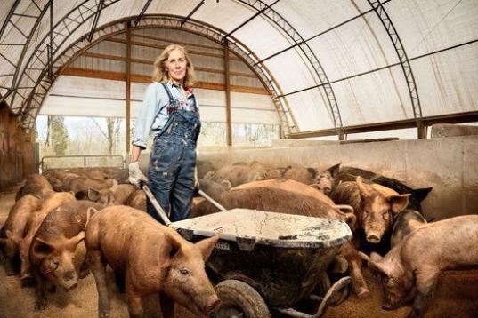 Nancy Poli; criadora de cerdos en Stryker Farms. Foto tomada en Saylorsburg, Pensilvania.