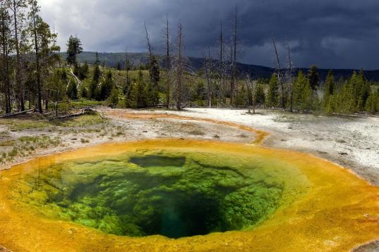 Uno de los parques de EEUU que más se conoce en las afueras del país es Yellowstone. Forma parte de los estados de Wyoming, Montana e Idaho y es el Parque Nacional más antiguo del mundo.

De los sitios más espectaculares del parque hay que d...