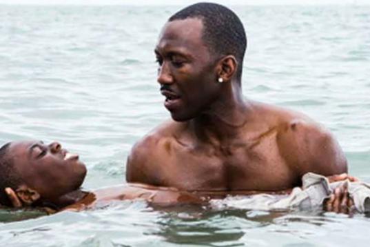 Moonlight arrebató, literalmente y casi de las manos, el Oscar a la Mejor película a La la land. La cinta trata la vida de un joven afroamericano cuyo personaje logró conectar emocionalmente con los espectadores, y aborda el...