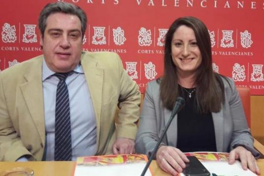 La portavoz de Vox en les Corts Valencianes, Ana Vega, comunicó el pasado 11 de marzo que había dado positivo por coronavirus.